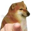 aito.kun5