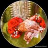 noman1067787
