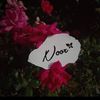 noor.yakoub