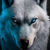 alexnelson774
