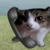 tissuefasrdust