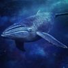yesiambluewhale