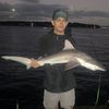 fishyfreak1