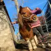 filoudaspony_19