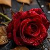 evaaktar970