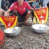 letuan666888