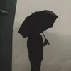 treytregzs1