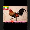 ငါ့ရိုးမတစ်ခွင် ငါဘုရင်