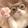 hello_123qu