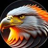 asseb70