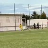 aurjulius