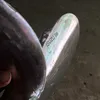 Chiêu Iz93 turbo/94BL