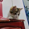 _rizal_mohd19xx