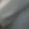 viona_l159