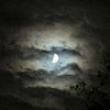 tothemoon1075
