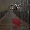 raiijaz647