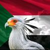 sudaneseinsta