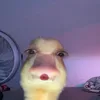 noemieee12