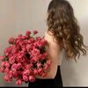 basma5583