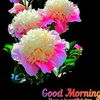 user50370174767613