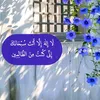 waseelaa00