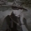 313_v_ip