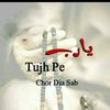 maher_siyal_shab2