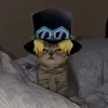 il_gatto_matto33