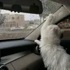 laa_tt7