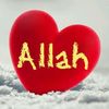 gizemli826