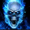 shelly_too_valid14