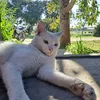 salas.zoe