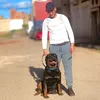 nizaar__bg