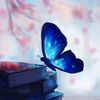 bookbutterflye
