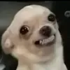 wraeibarra