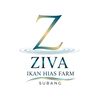 zivafarm1
