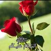 roohniazmandew4