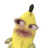 naaaaaaaaaazzzzzz