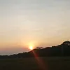 yaa_0149