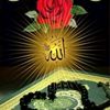 user5940001596803
