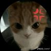arbi.akter64