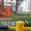 machiti_green