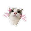 oyen.luv