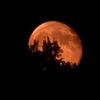 larry_n1234
