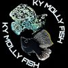KY MOLLY FISH
