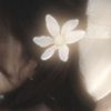 lily ✿