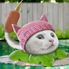 gatocreadordecontenido