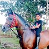stable7736
