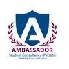ambassadorconsultant
