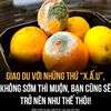 k4taminh